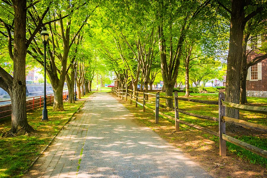 About Our Agency - Closeup View of a Concrete Pathway on a Quiet Residential Street in Downtown York Pennsylvania Surrounded by Green Trees